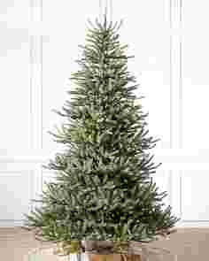 Sanibel Spruce by Balsam Hill Candlelight Clear LED SSC