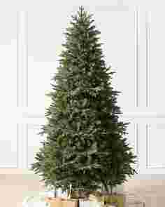 Saratoga Spruce Tree by Balsam Hill Unlit SSC 40