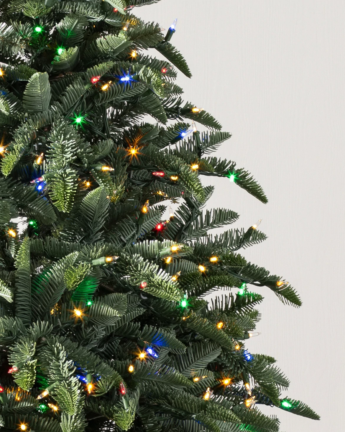 BH Noble Fir Narrow