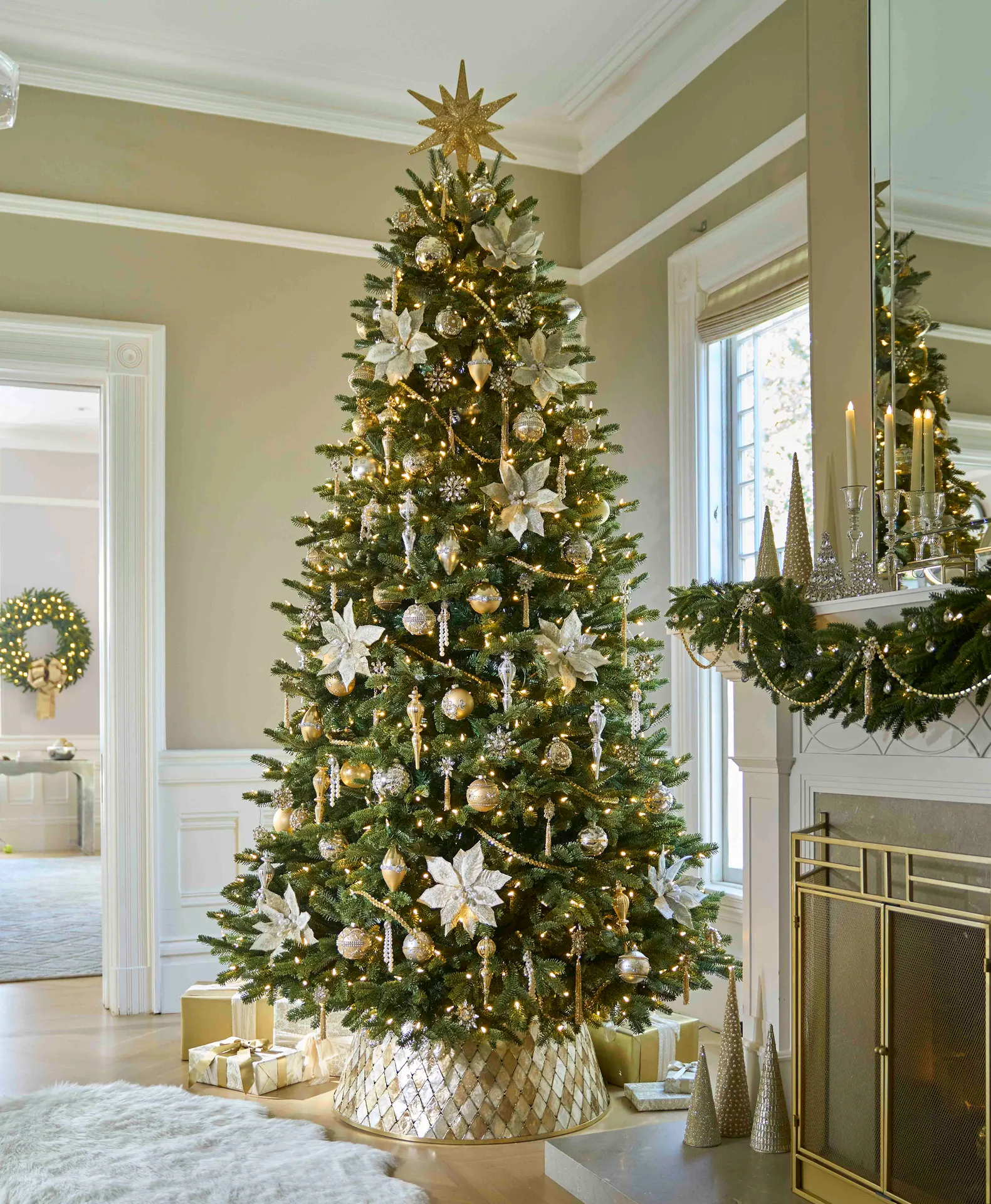 Featured Tree: Fraser Fir