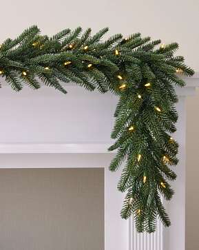 Nordmann Fir Garland Nordmann Fir Garland