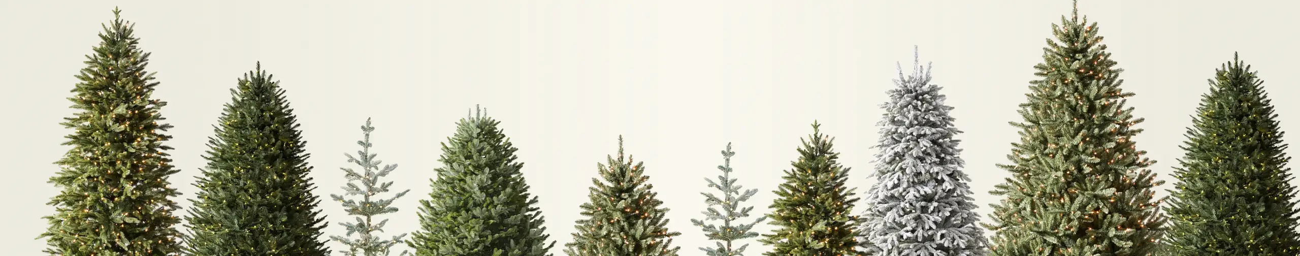 plp-banner