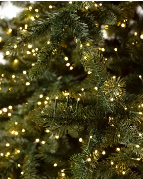 Aspen Estate Fir Aspen Estate Fir