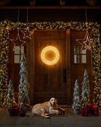 A dog sitting on a porch decorated with Christmas wreaths, garlands, and potted foliage