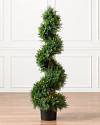 Outdoor Sprial Cypress Topiary by Balsam Hill SSC