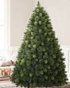 Scotch Pine Tree by Balsam Hill Lifestyle 20
