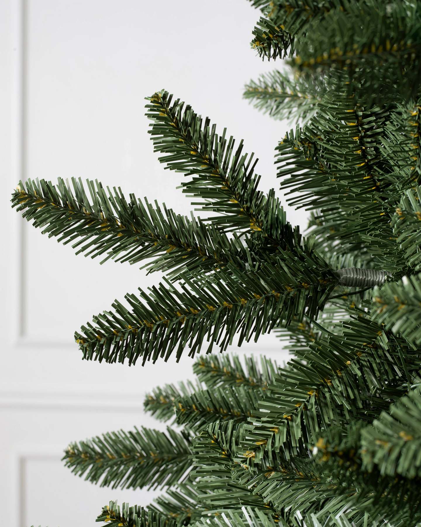 Classic Douglas Fir