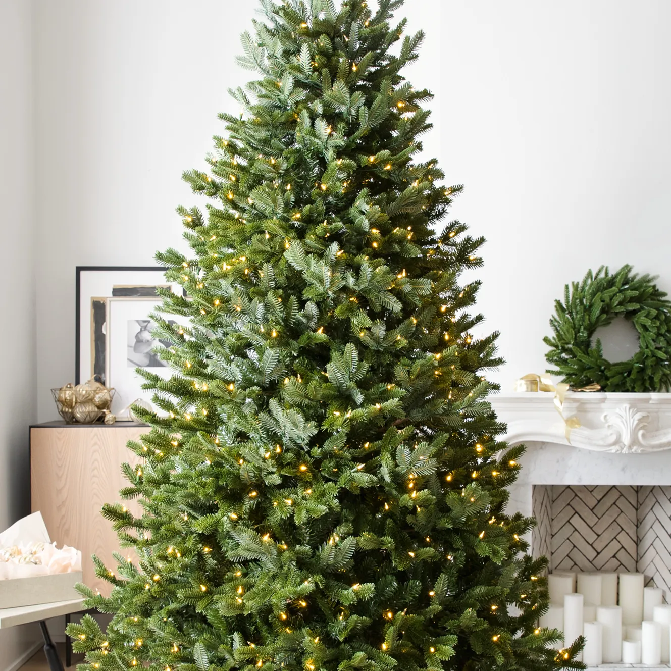 The Tree Shop