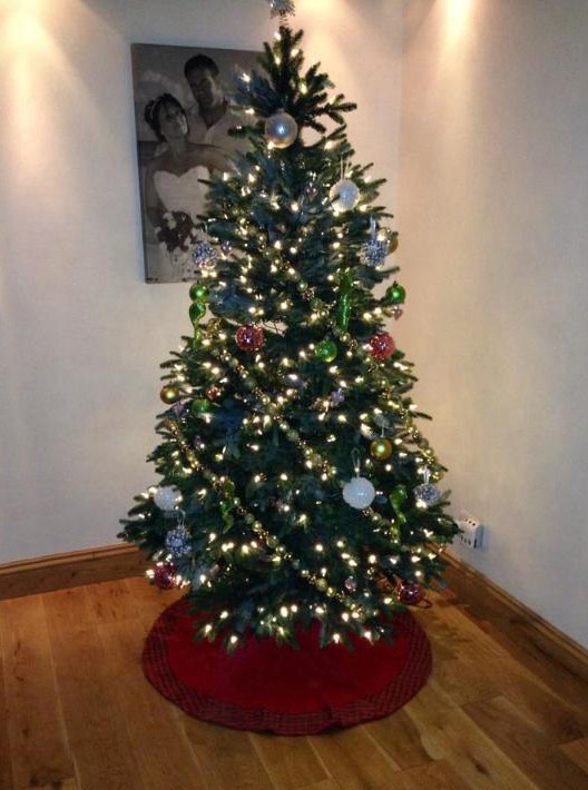 European Silver Fir Artificial Christmas Tree Balsam Hill