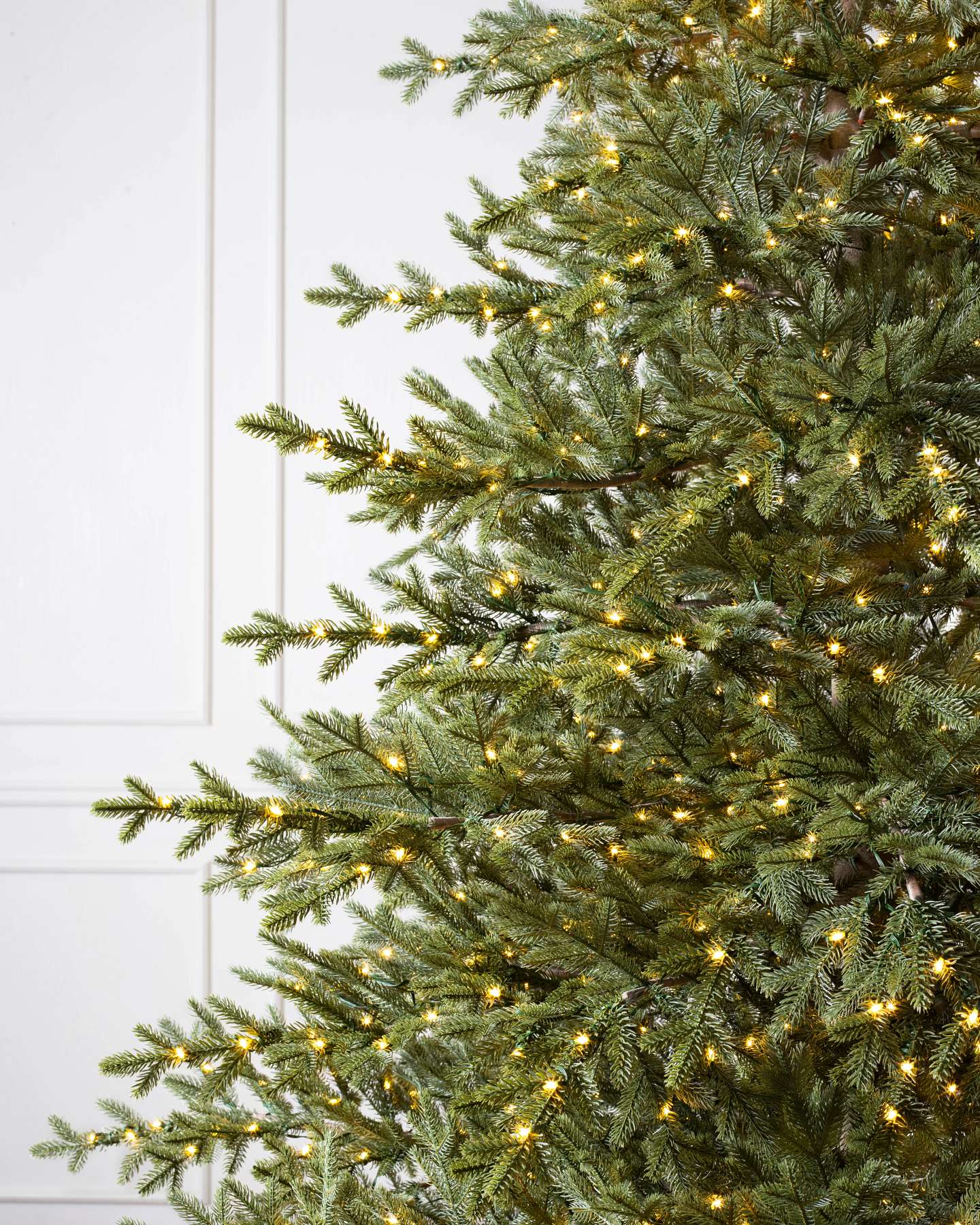 Sugarlands Spruce Wide