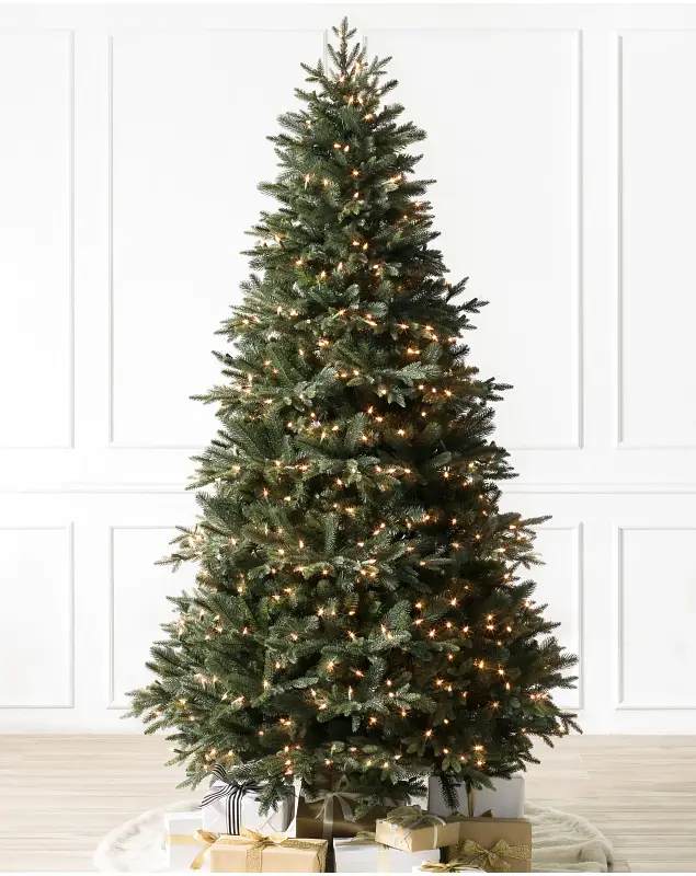 Saratoga Spruce Tree by Balsam Hill SSC 10
