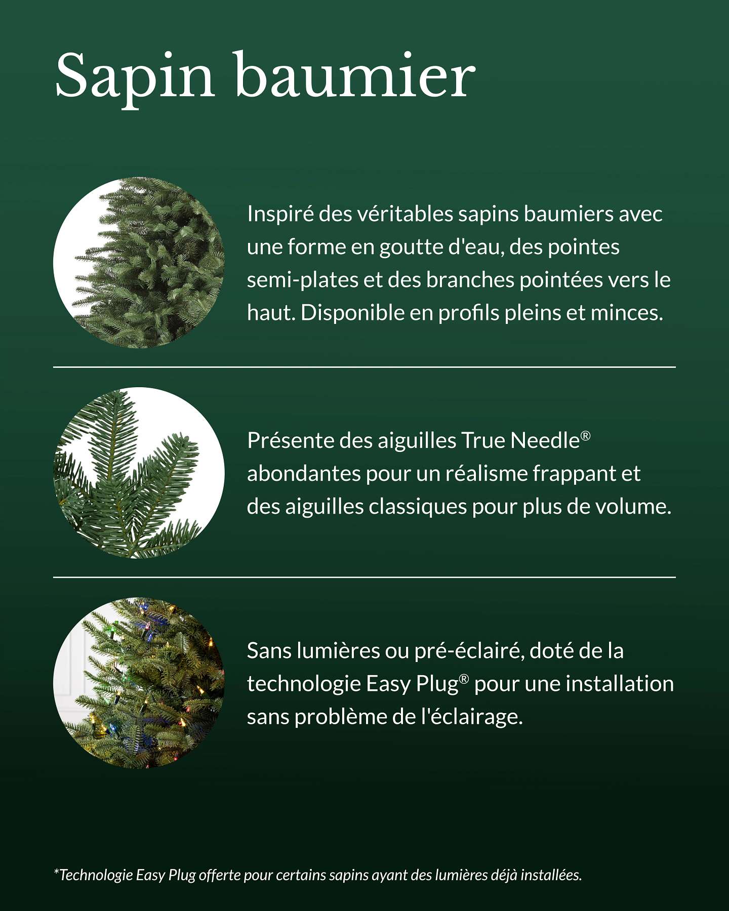 Sapin baumier de 5,5 pi
