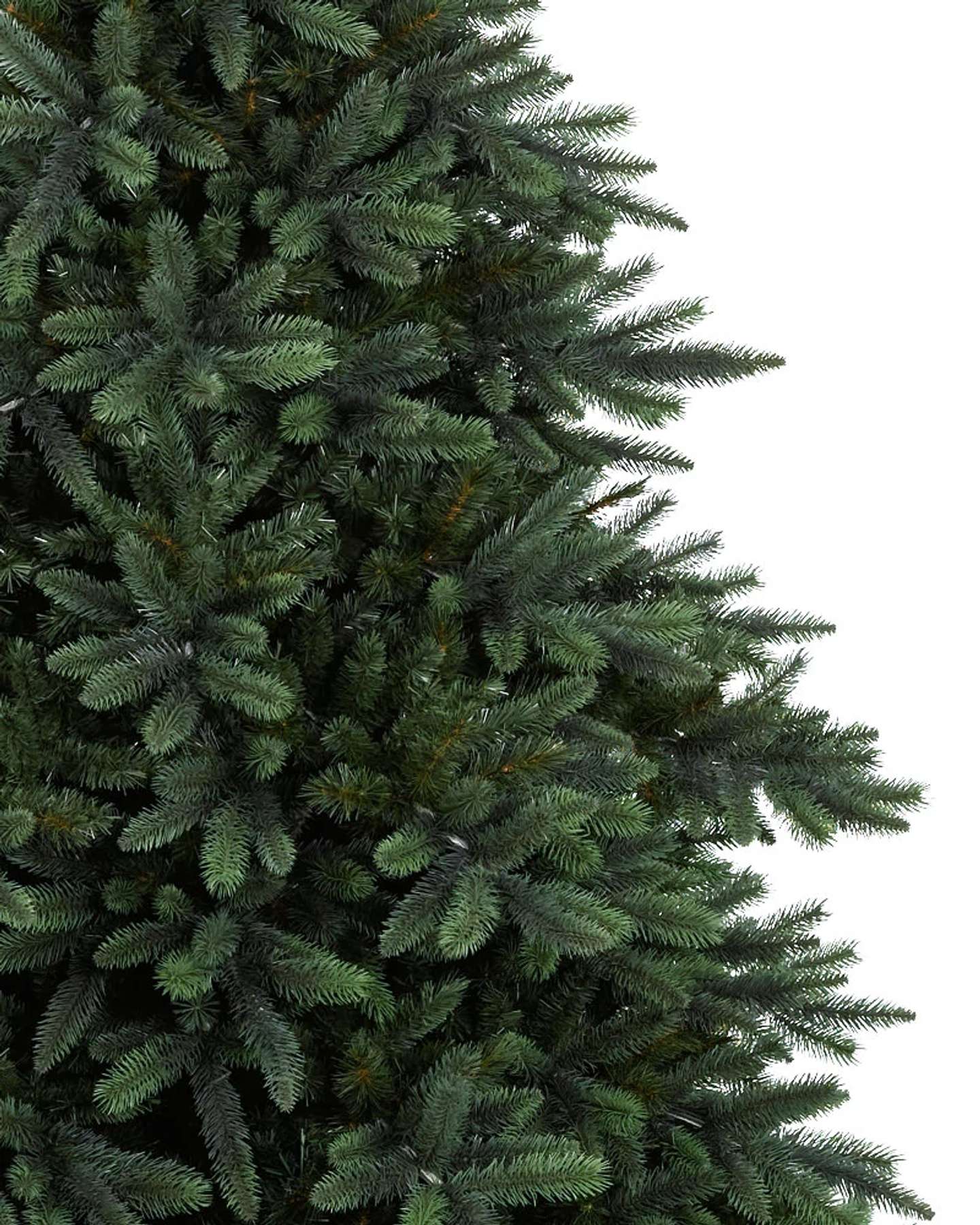 Branch Samples, Set of 16
