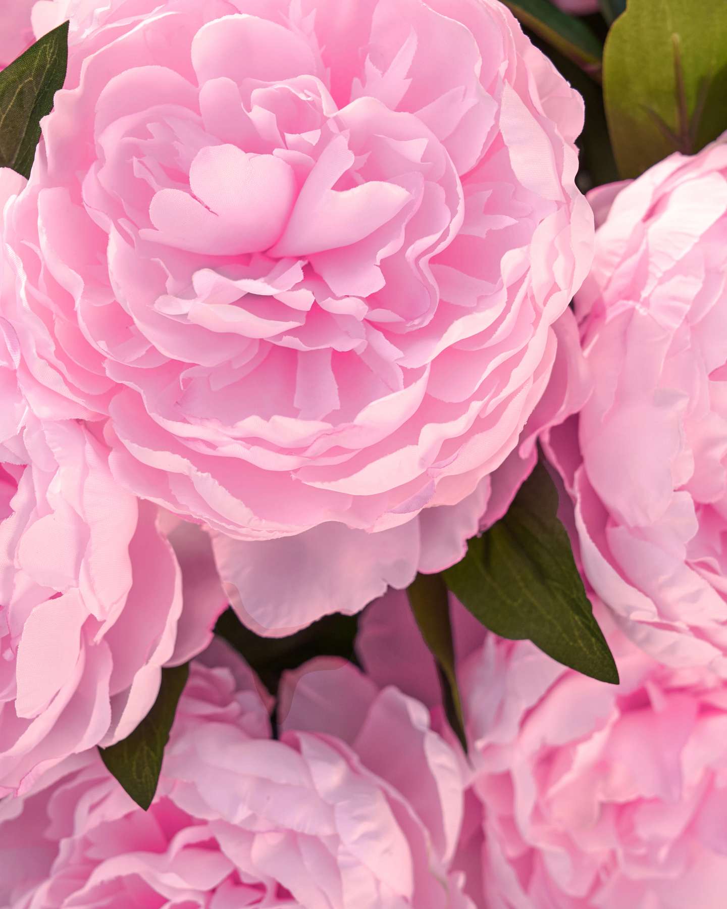 Light Pink Outdoor Peony Paradise Pot Filler by Balsam Hill Closeup 20