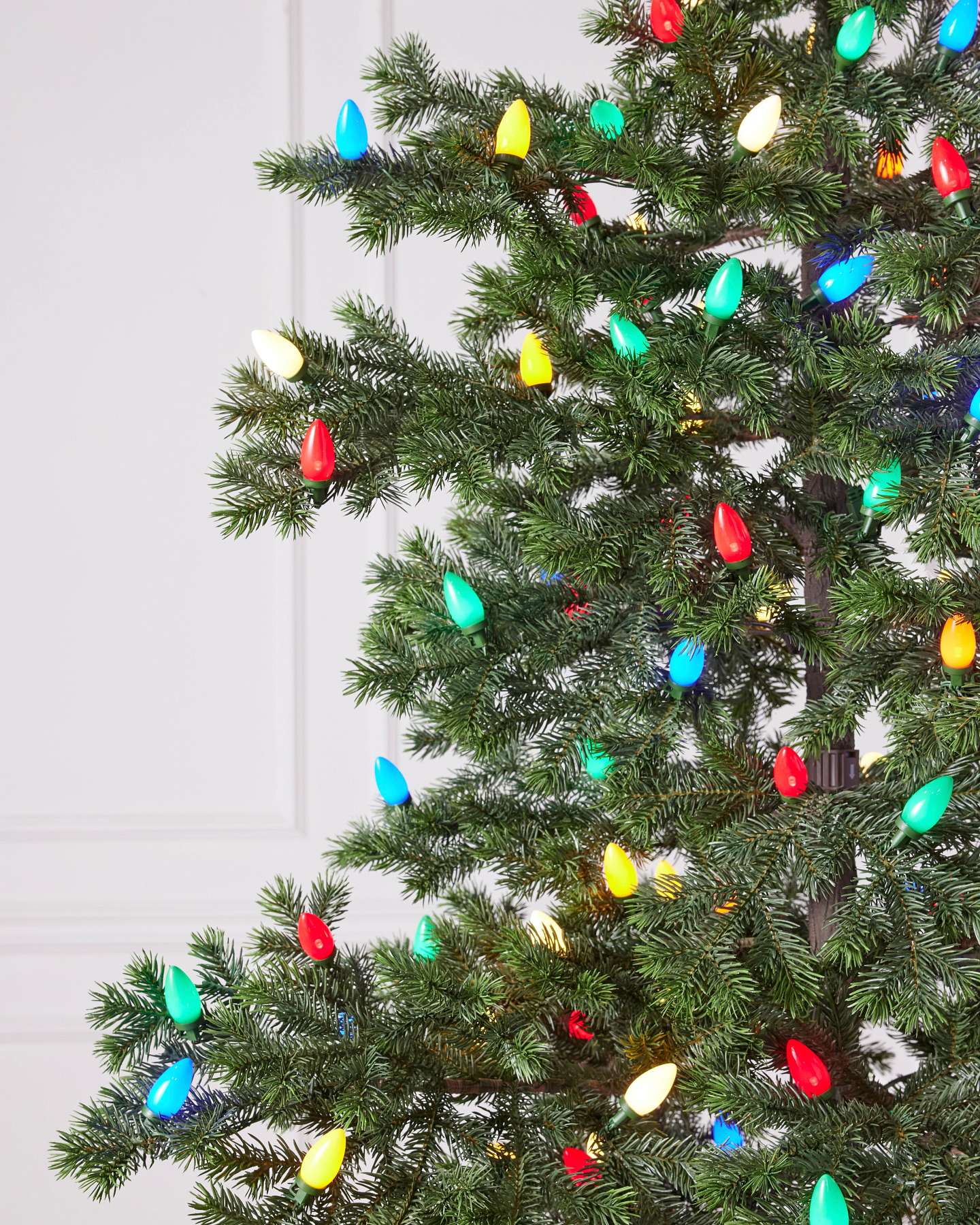 Yukon Spruce®