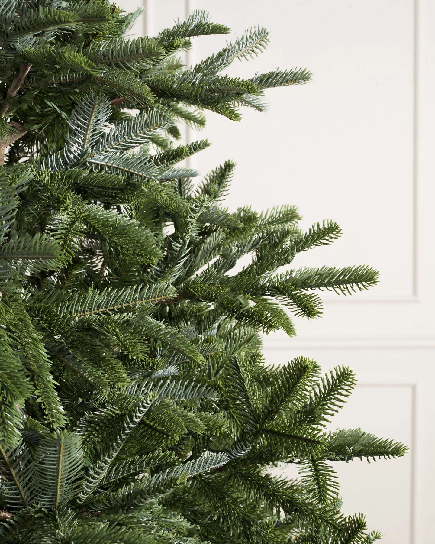 Branch Sample Kit by Balsam Hill