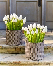Two woven planters filled with ivory tulips on stone porch steps
