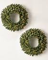 Classic Blue Spruce Wreath, Set of 2 by Balsam Hill SSC 20