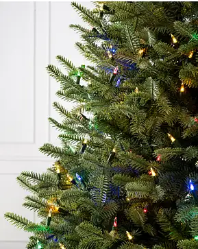 BH Balsam Fir Flip Tree® BH Balsam Fir Flip Tree®