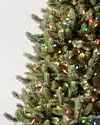 Vermont White Spruce by Balsam Hill Color + Clear\u2122 LED Lights Closeup