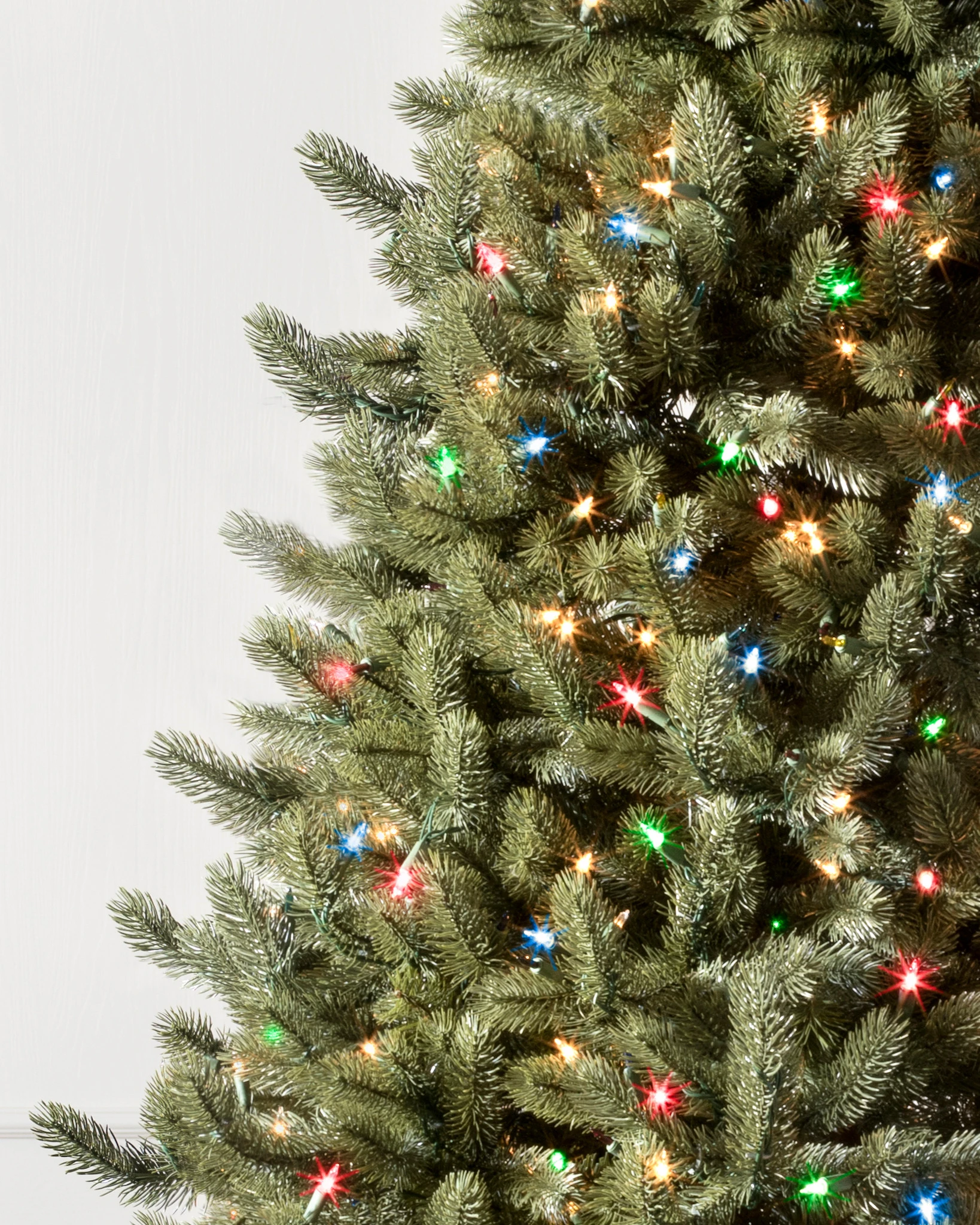 Vermont White Spruce