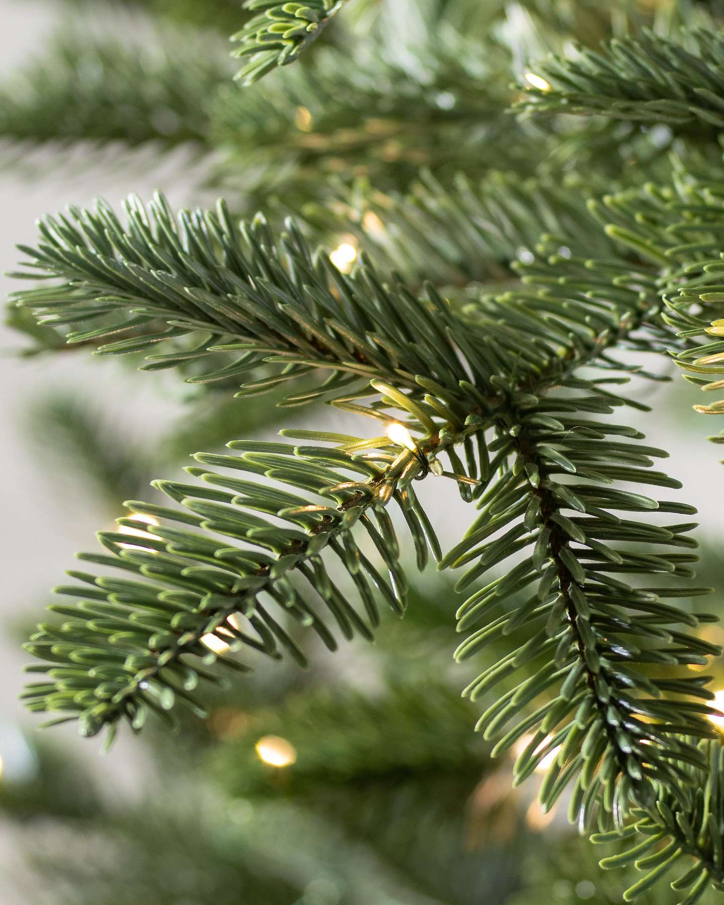 Balsam Hill European Fir Artificial Christmas Tree LED Clear Foliage Closeup