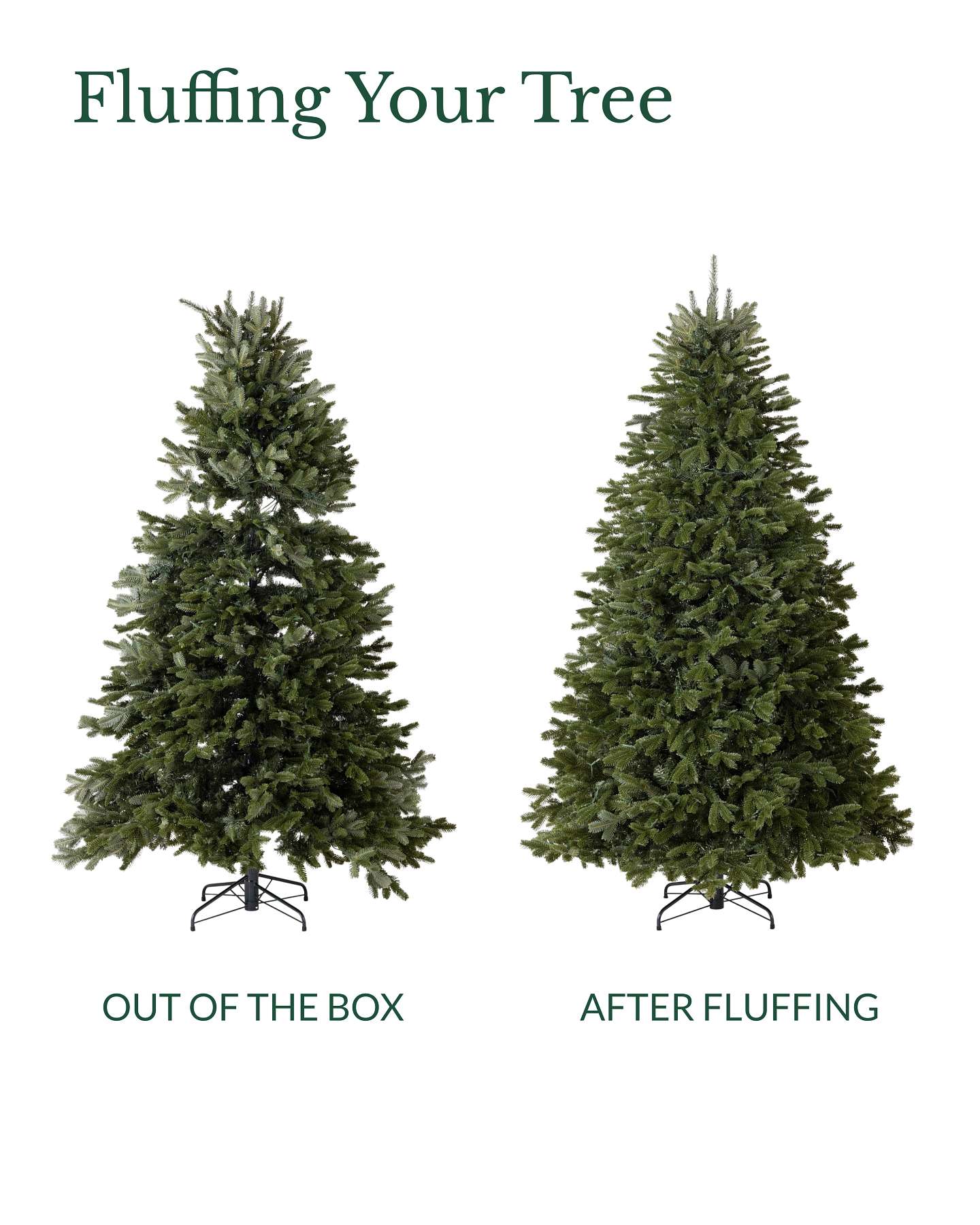 7.5' BH Fraser Fir
