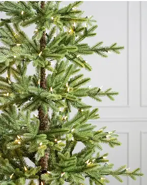 Alpine Tree Alpine Tree