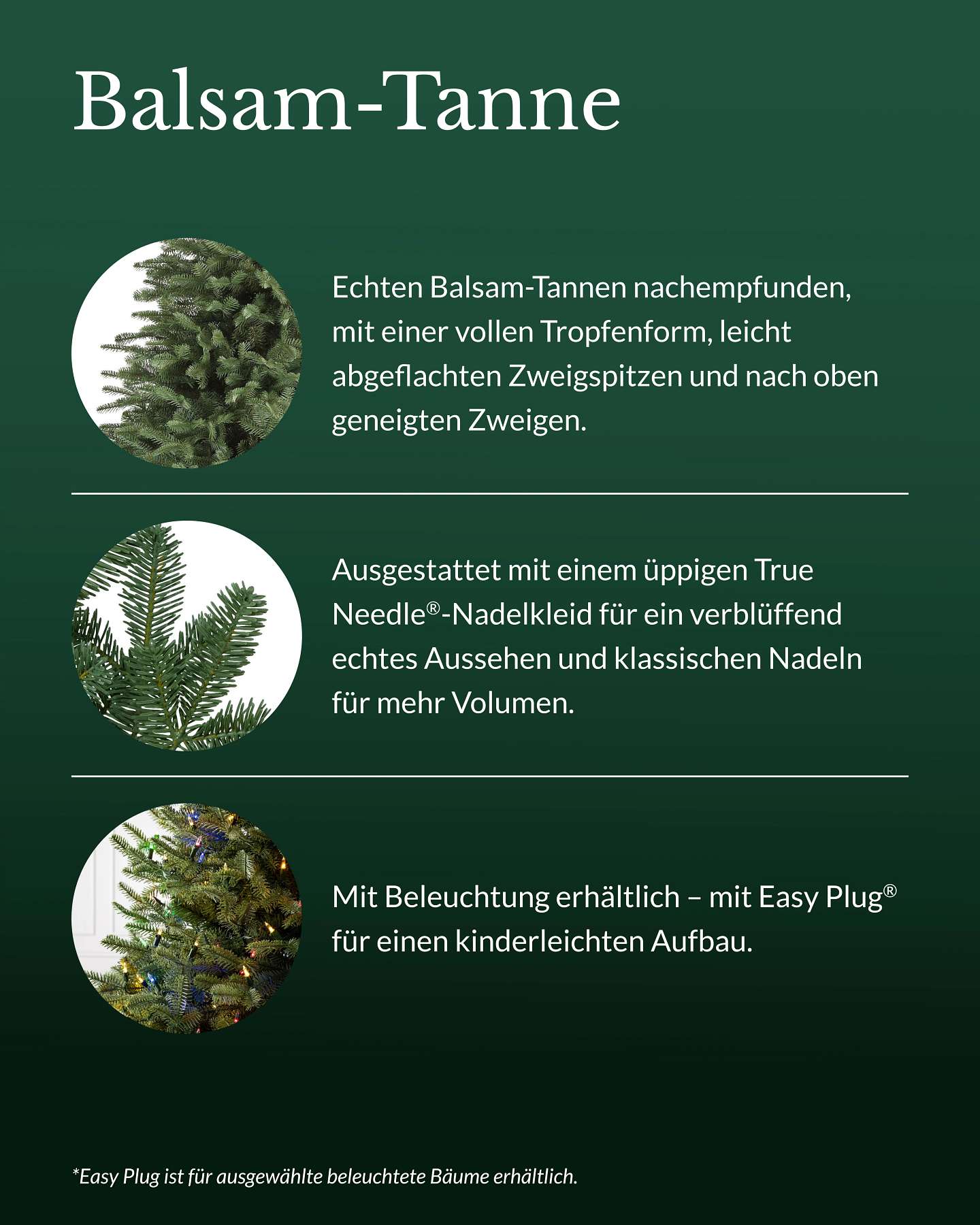Balsam-Tanne