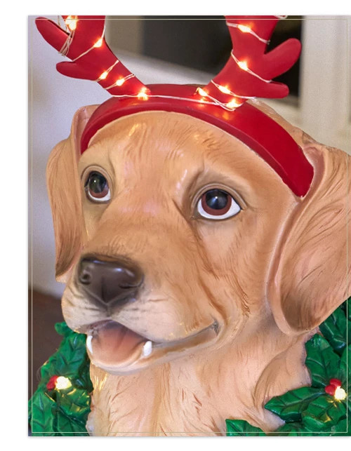Outdoor Lit Festive Pup Life-Size Dog | Balsam Hill