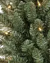Classic Blue Spruce Wreath, Set of 2 by Balsam Hill Closeup 10