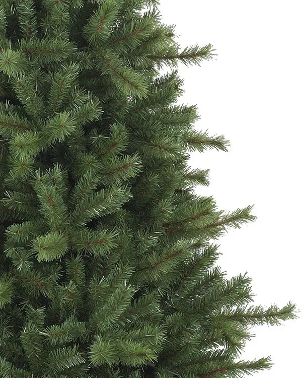 Norwegian Grand Fir