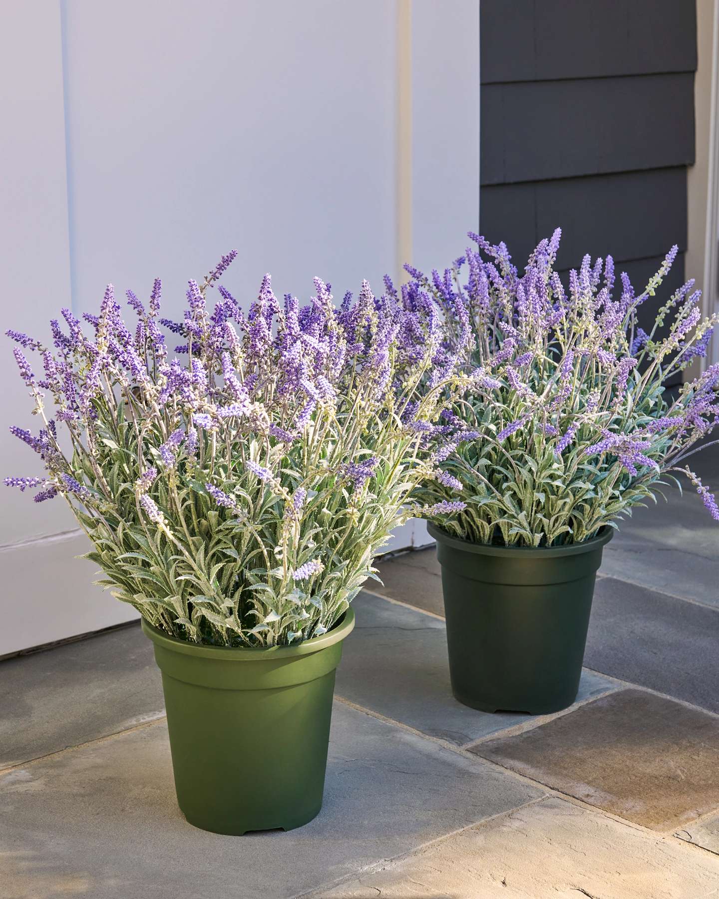 Balsam Hill Outdoor Lavender Meadow Artificial Spring Foliage Set of 2