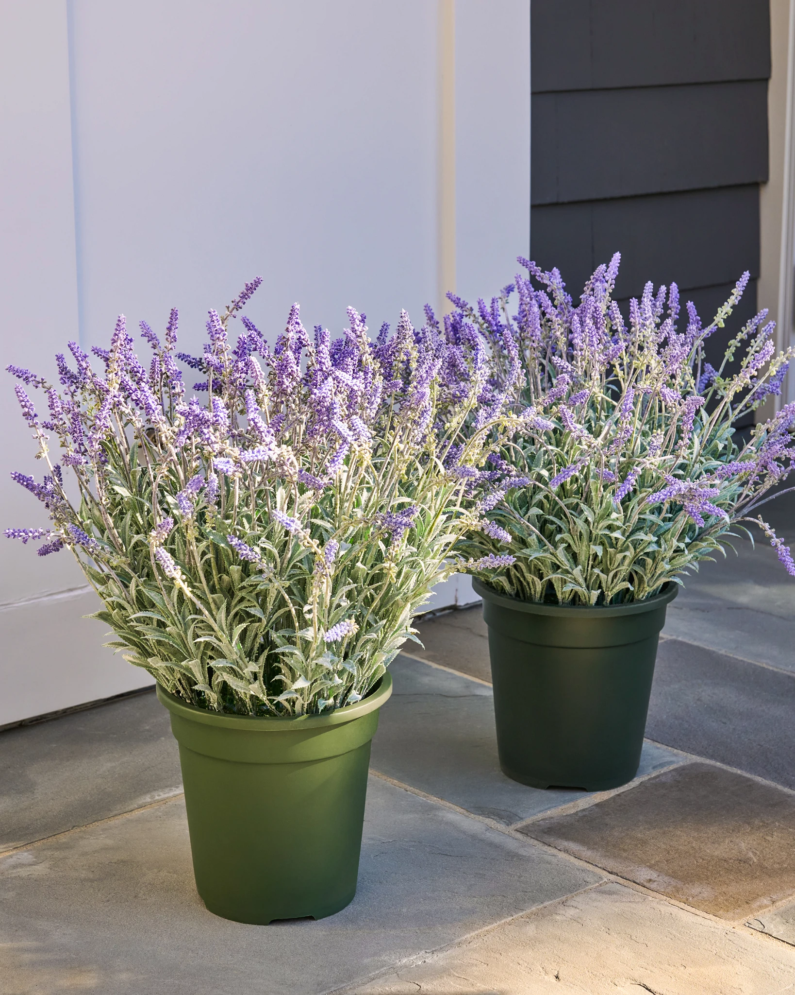 Outdoor Lavender Meadow Artificial Spring Foliage | Balsam Hill