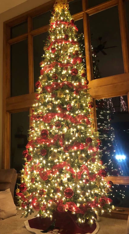 Narrow christmas tree