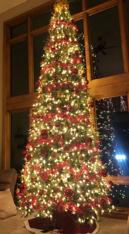 Balsam hill 10 ft tree discount
