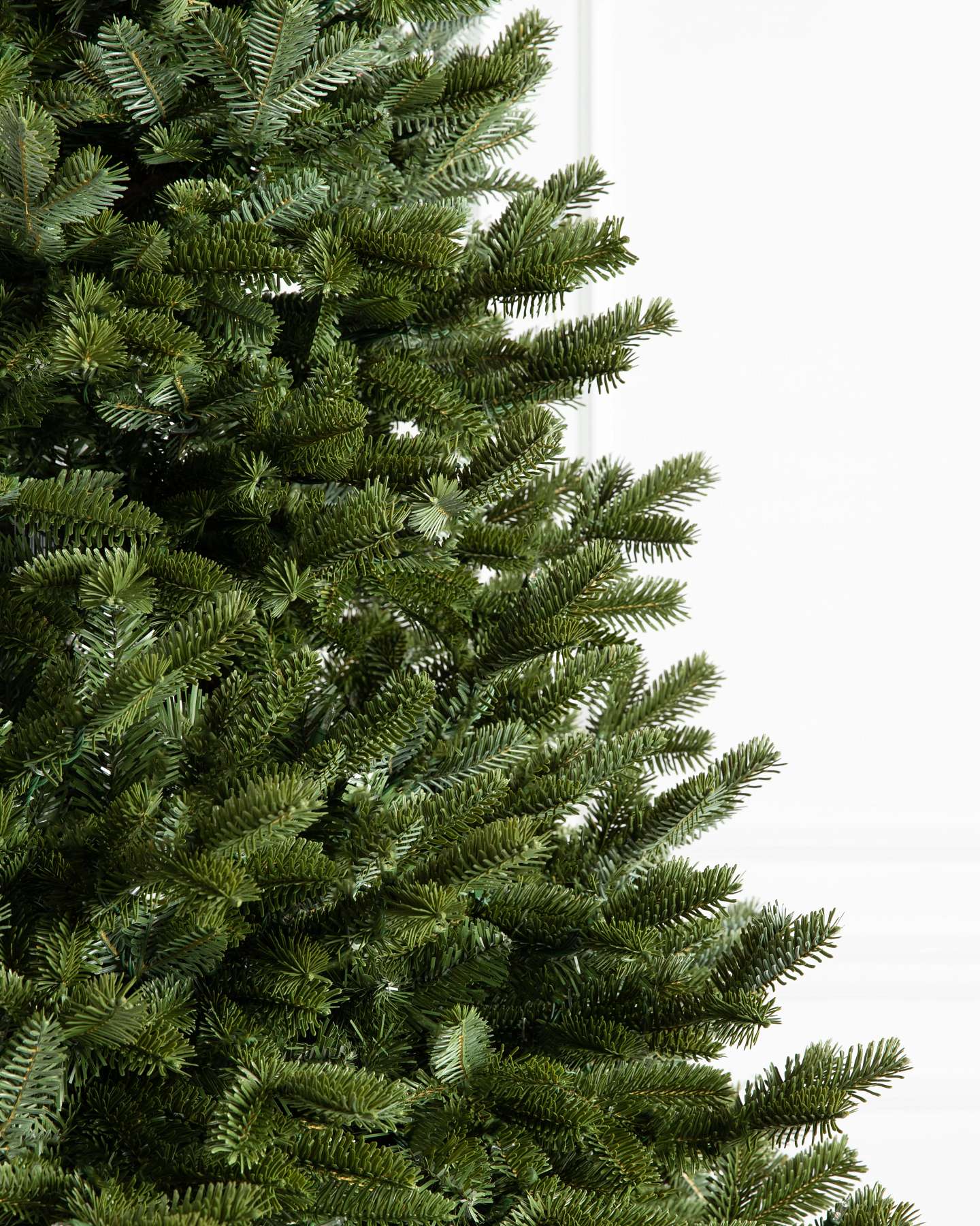 Branch Samples, Set of 10