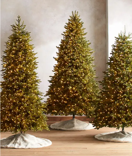 Compare Bestselling Trees