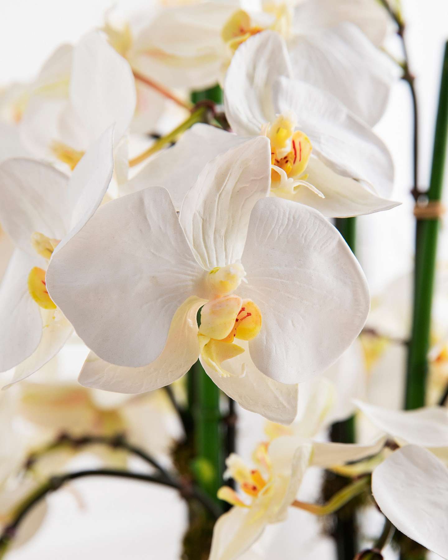 Balsam Hill White Phalaenopsis Orchids Closeup of Artificial Flower Arrangement