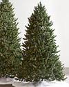 Vermont White Spruce Flip Tree by Balsam Hill Lifestyle 70