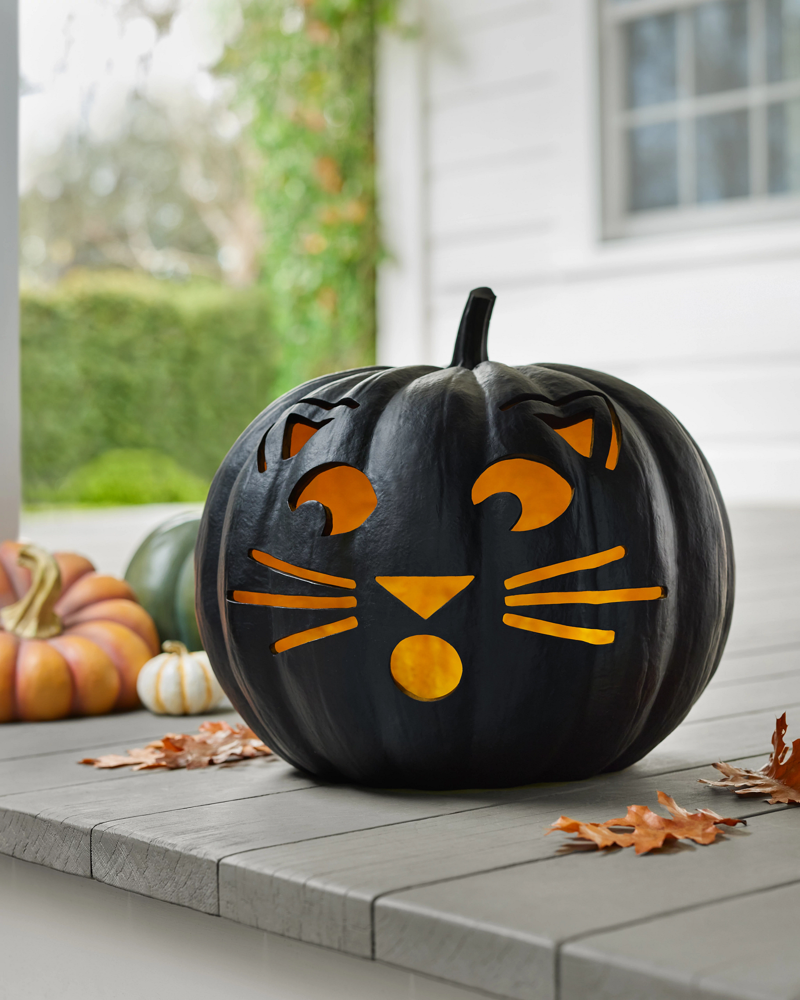 Cat jack o deals lantern