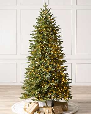 Sapin Silverado mince Sapin Silverado mince