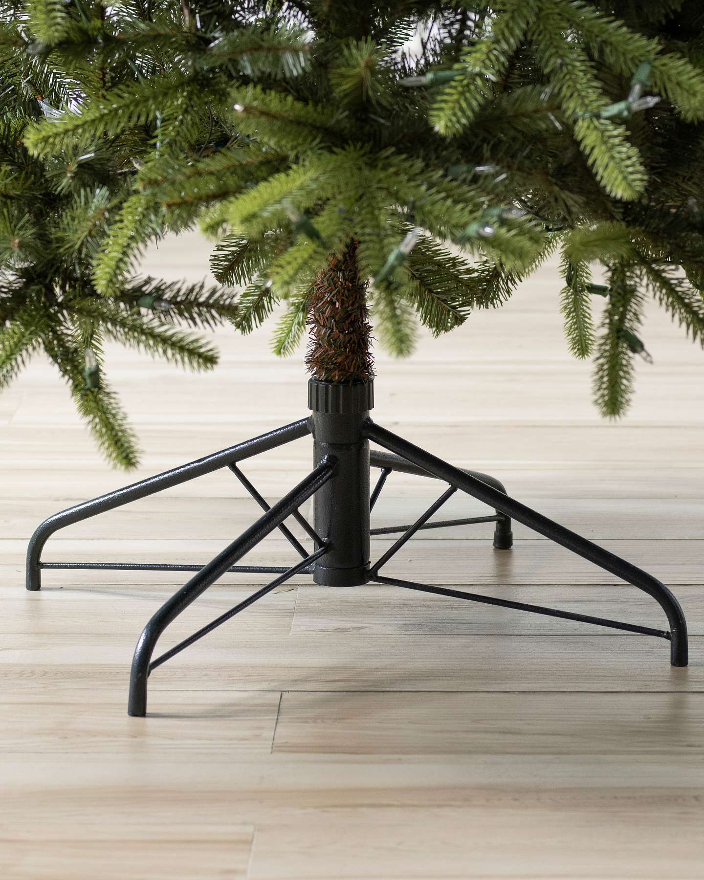 Grandview Fir by Balsam Hill Special Feature