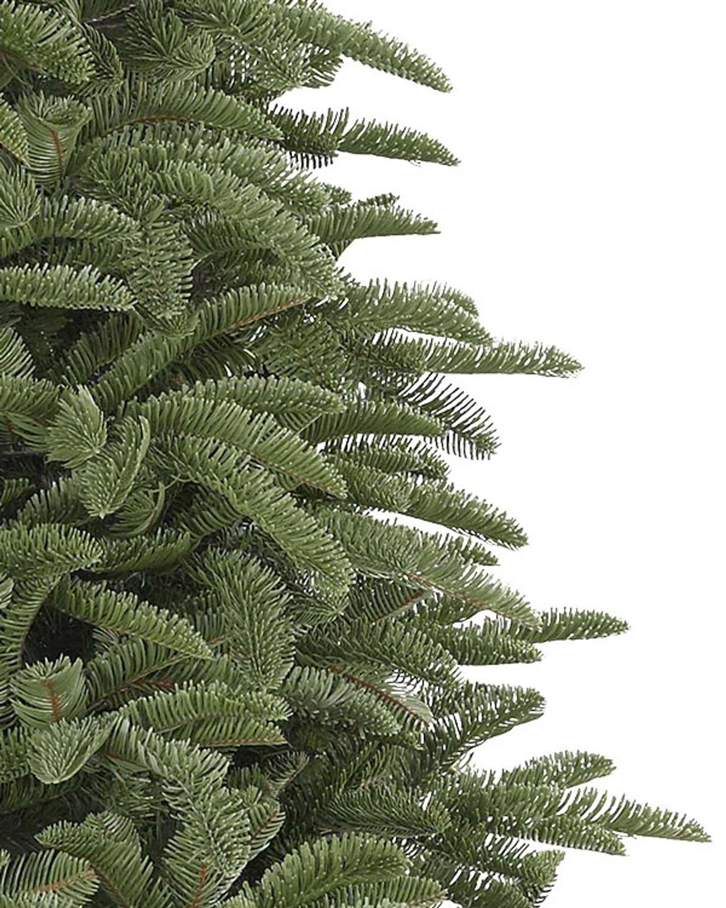 Noble Fir Alt by Balsam Hill