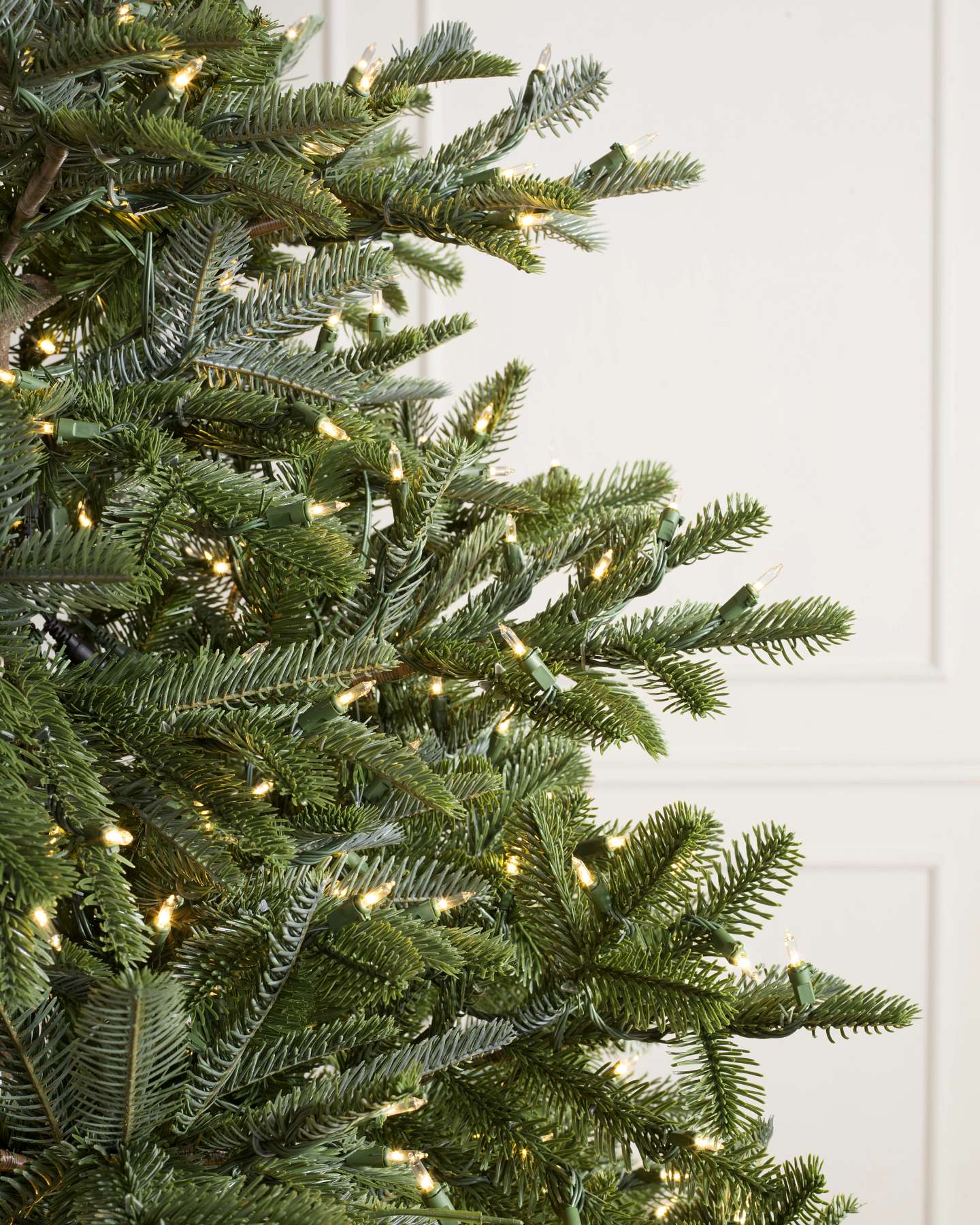 New Nordmann Fir by Balsam Hill LEDCL