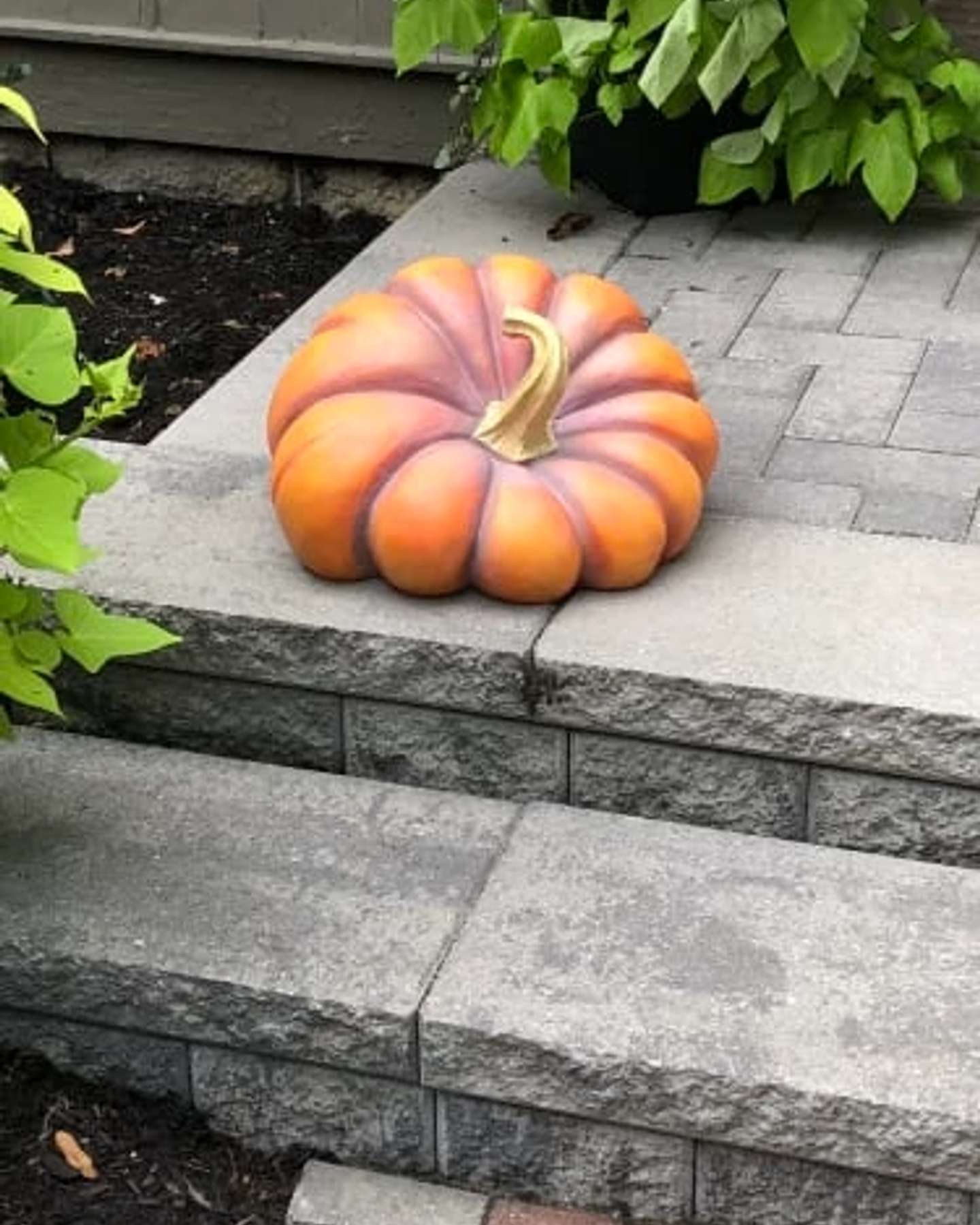 Heirloom Pumpkins by Heirloom Hill Customer 10