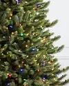 Vermont White Spruce Flip Tree by Balsam Hill Color + Clear Closeup