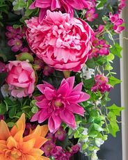 Closeup of pink and orange artificial peonies and daisies