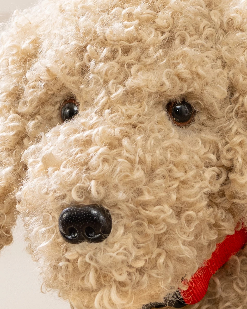 bernardaud gouttes d'or　ベルナルド·グッド·ドール　3枚 bernardaud gouttes d'or ベルナルド·グッド·ドール 3枚 GOUTTES D'OR