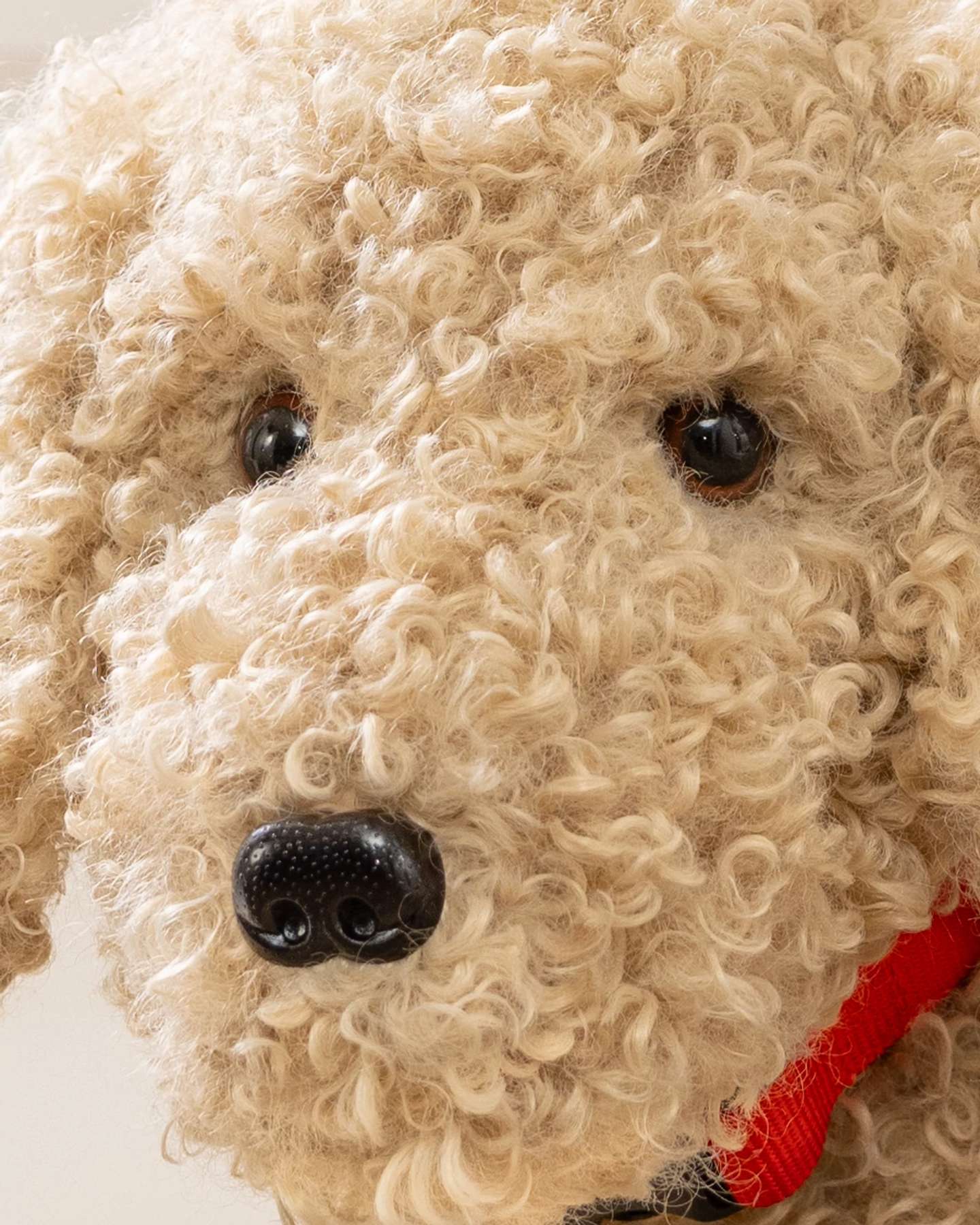Balsam Hill Faux Sherpa Doodle Dog Face Closeup